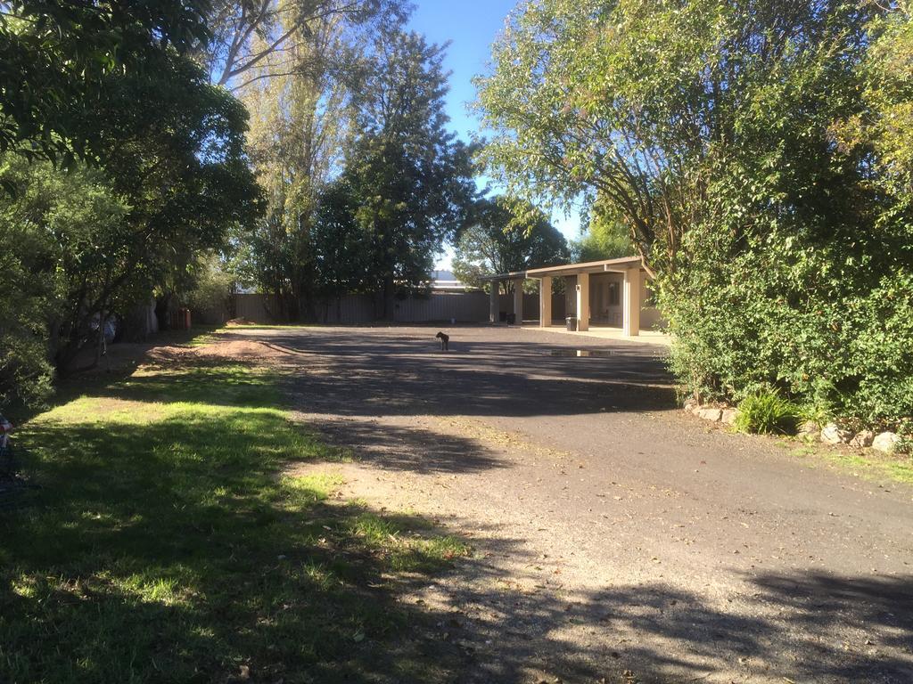 Murray Valley Motel Wodonga Exterior foto